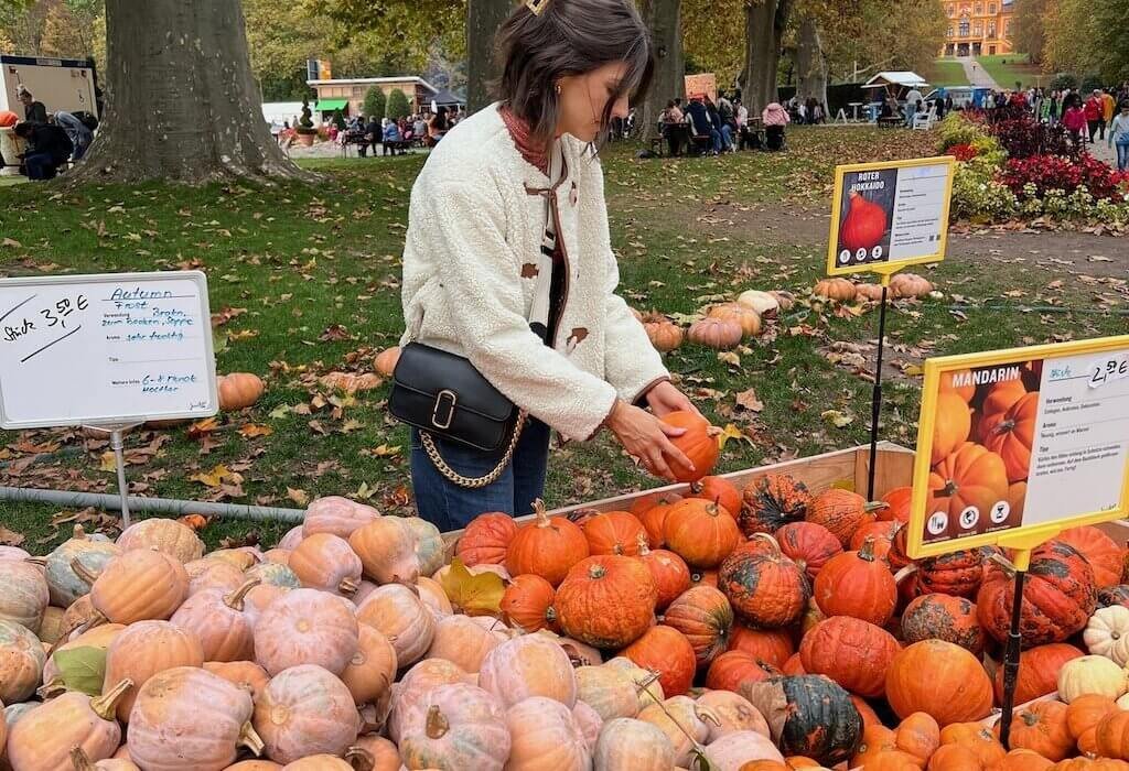 Germany’s Largest Pumpkin Festival (Your Guide to Ludwigsburg)