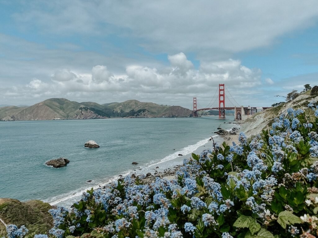 A scenic view from Lands End Trail, with wildflowers in the foreground and the Golden Gate Bridge in the distance. A perfect spot for first-time visitors in San Francisco.