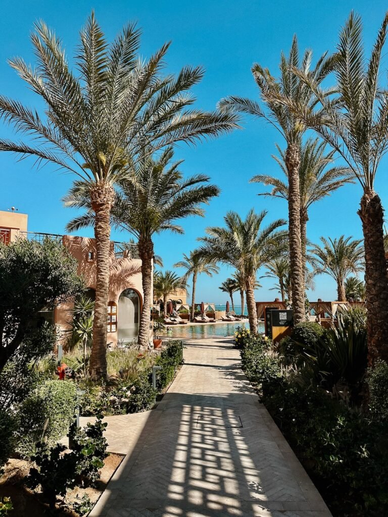 Exterior view of The Chedi Hotel in El Gouna, Egypt, a luxury beachfront property with modern design and a peaceful atmosphere.