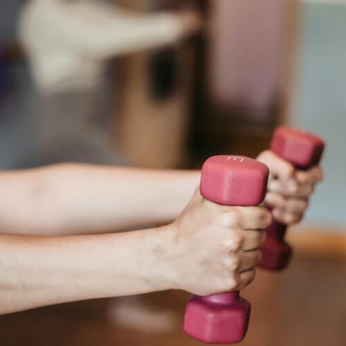 pregnancy safe workouts using hand weights